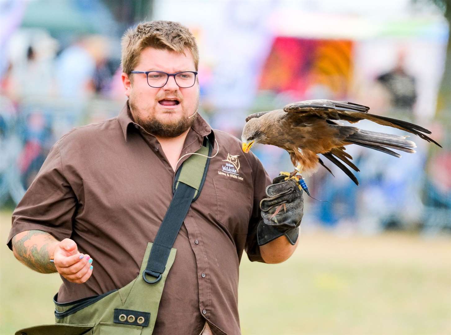 Millets Falconry