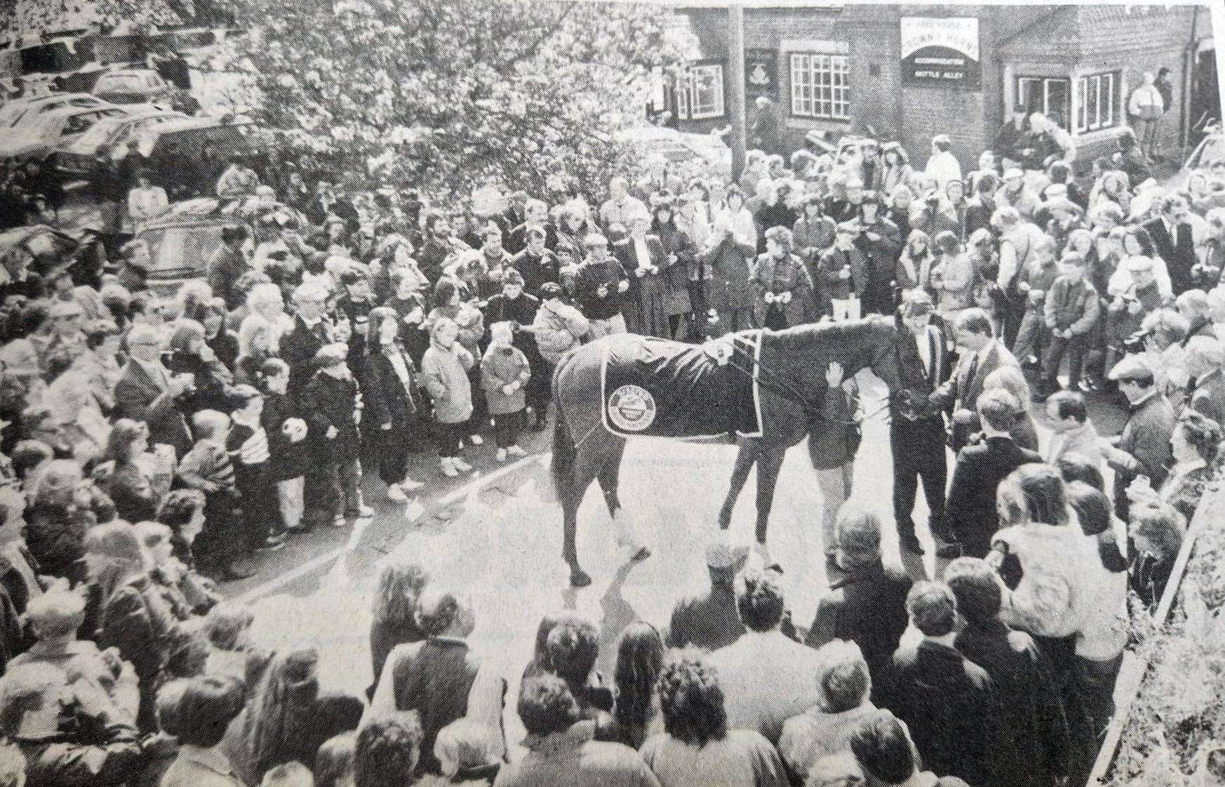 A triumphant return to his training ground was made by Grand National winner Mr Frisk when East Ilsley welcomed home a hero in 1990. The horse, which shattered the race record, is also Upper Lambourn’s darling – he moved there from East Ilsley with his trainer, Mr Kim Bailey, only six months ago. Crowds flocked around the popular winner as he paraded around the village for about an hour with Mr Bailey and his wife Tracey and stable lad, Miss Rachel Liron.