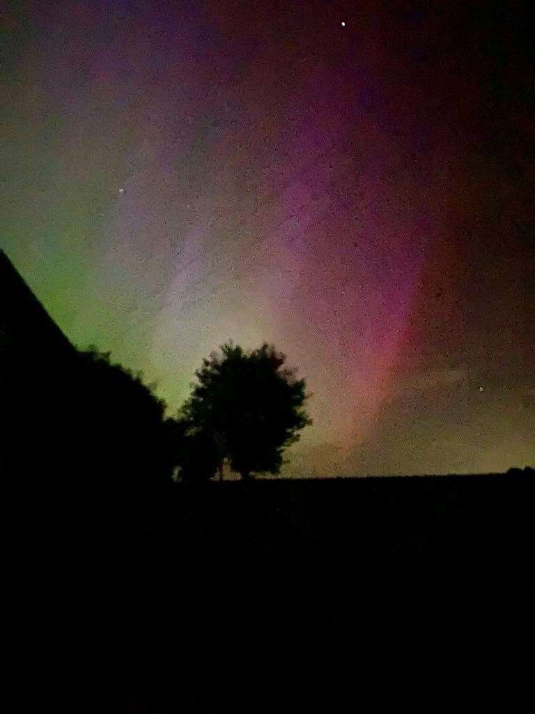 Trish Lee, Aldworth