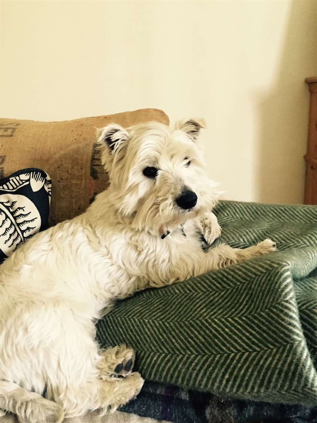 Albert