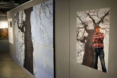 Kurt Jackson Oak exhibition at The Base