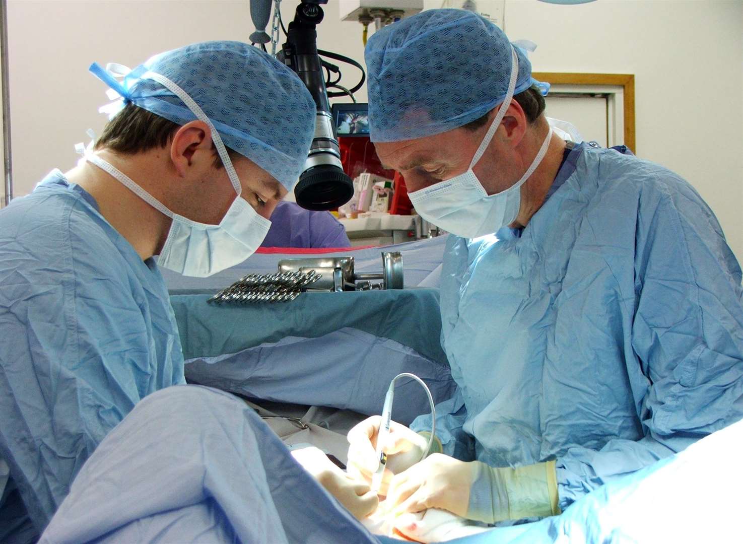 Pelican surgeons in the operating theatre