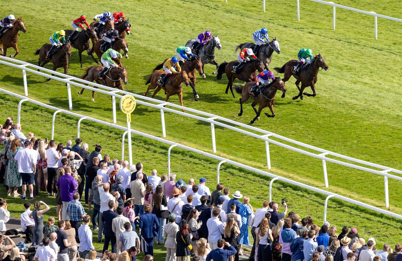 OLBG Spring Cup Handicap - Ebt's Guard