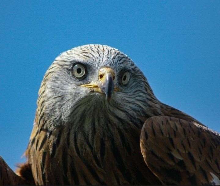 Matt Dolinski captured this beautiful shot in Thatcham