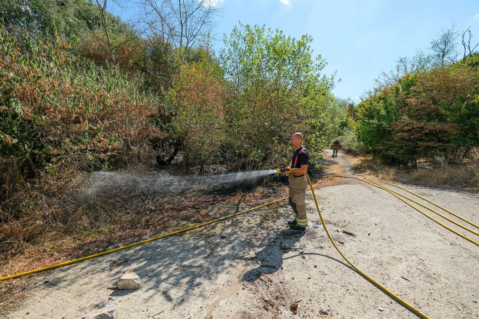 Fire in woods near Thatcham Nature Discovery Centre