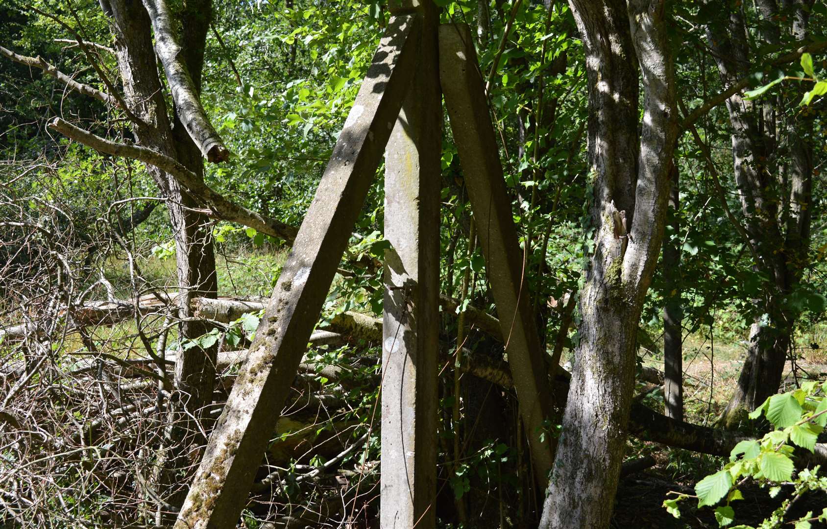 Remnants of an old pistol firing range