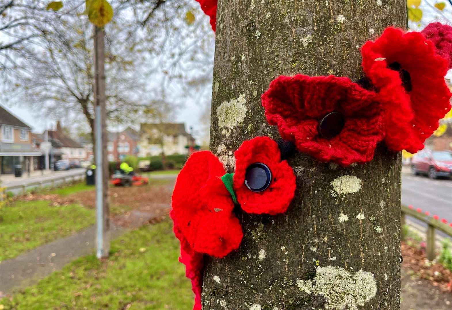 Tree on the Broadway wrapped in poppies