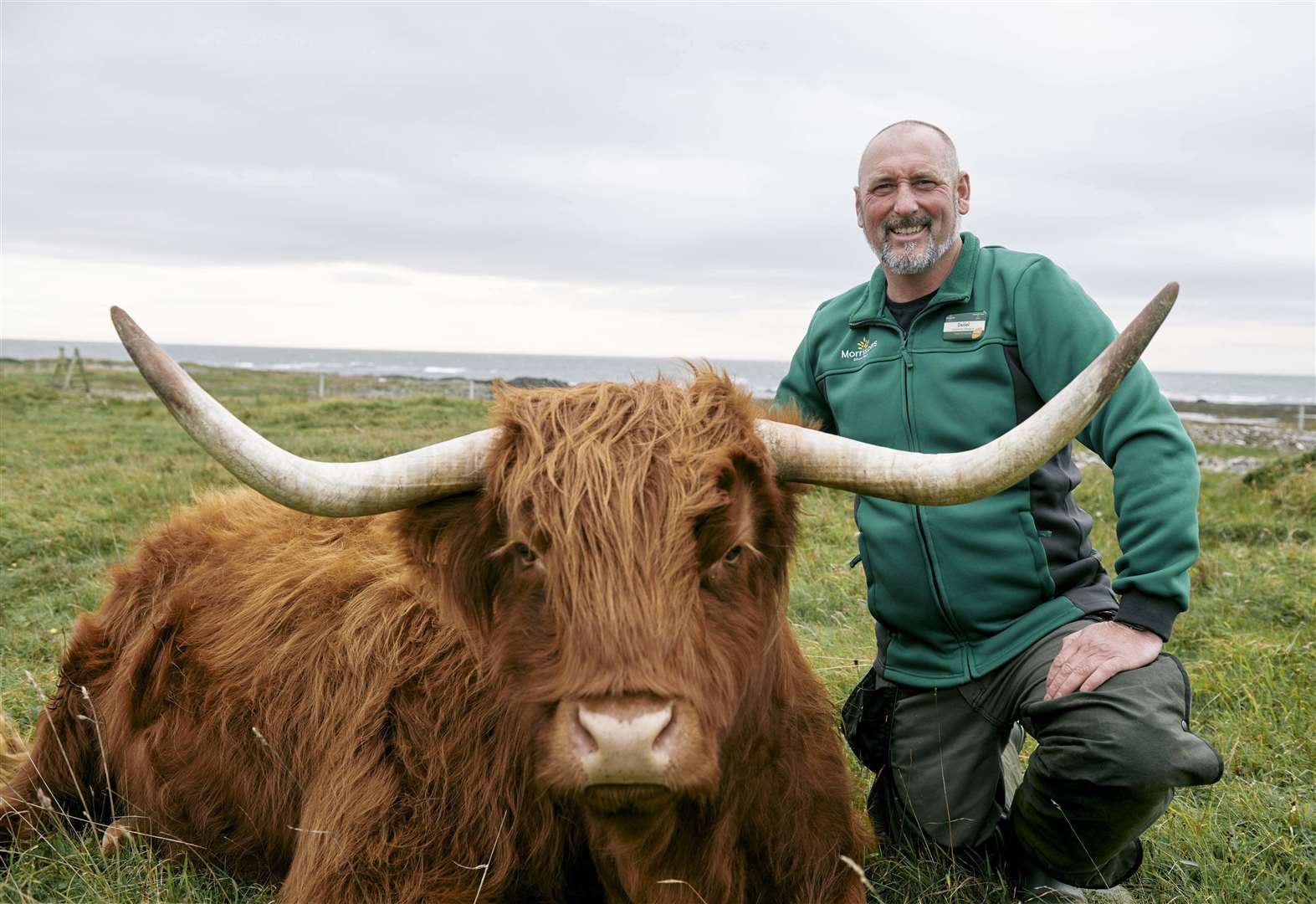 Morrisons is working with Queen’s University Belfast on a three-year trial looking at the use of seaweed from the UK in helping to reduce methane production in cattle. The innovative research programme is being led by Professor Sharon Huws and Dr Katerina Theodoridou of the Institute for Global Food Security (IGFS) at the university and is testing indigenous seaweed from the Irish and UK coastlines. The aim is to evaluate the nutritional value of seaweed and assess its potential to reduce methane emissions, improve animal health, and enhance meat and milk quality. (52954430)