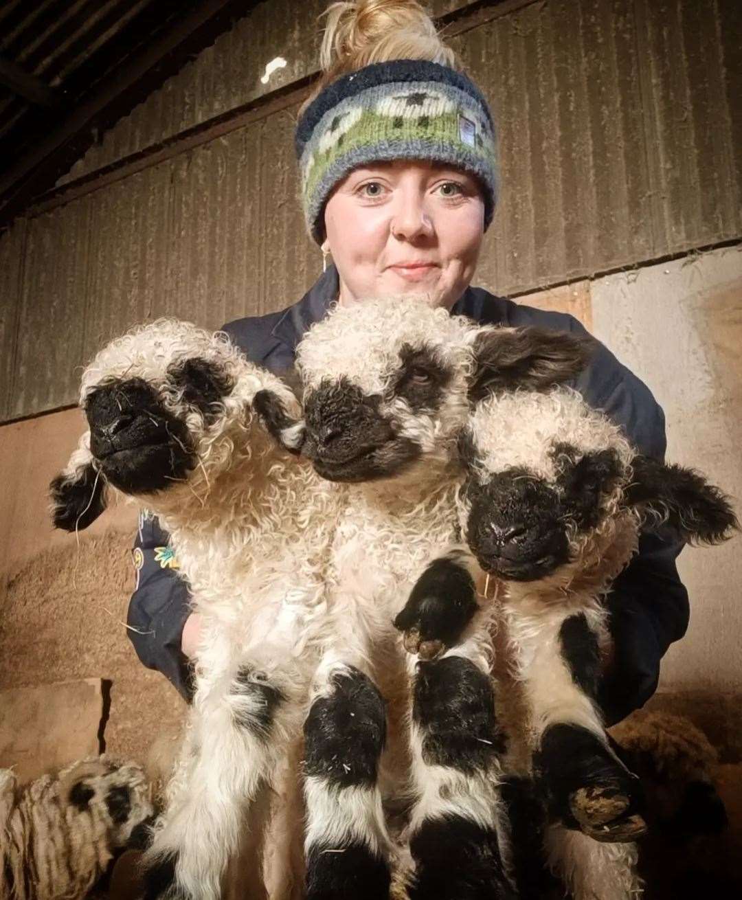 Becky Breakspear with some of the new lambs