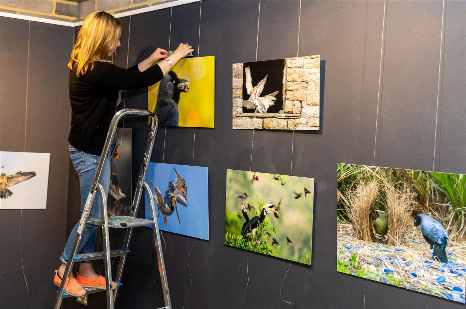 Hanging the exhibition at The Base