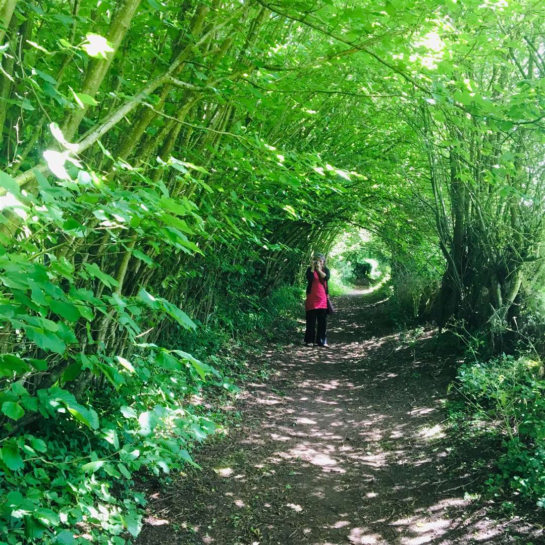 Looking for Inkbourne