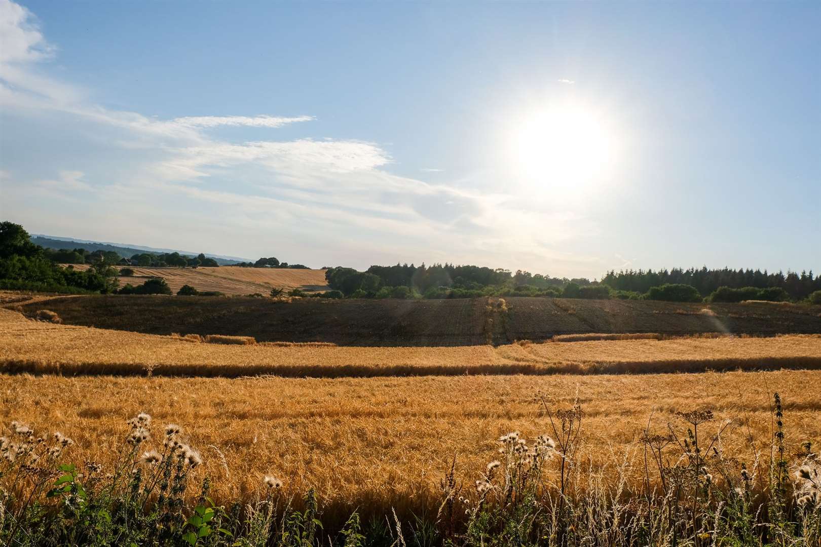 Coxs lane - Upper Bucklebury - Field Fire. (58554256)