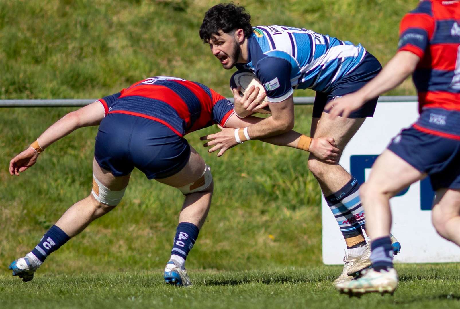 Newbury vs Chichester