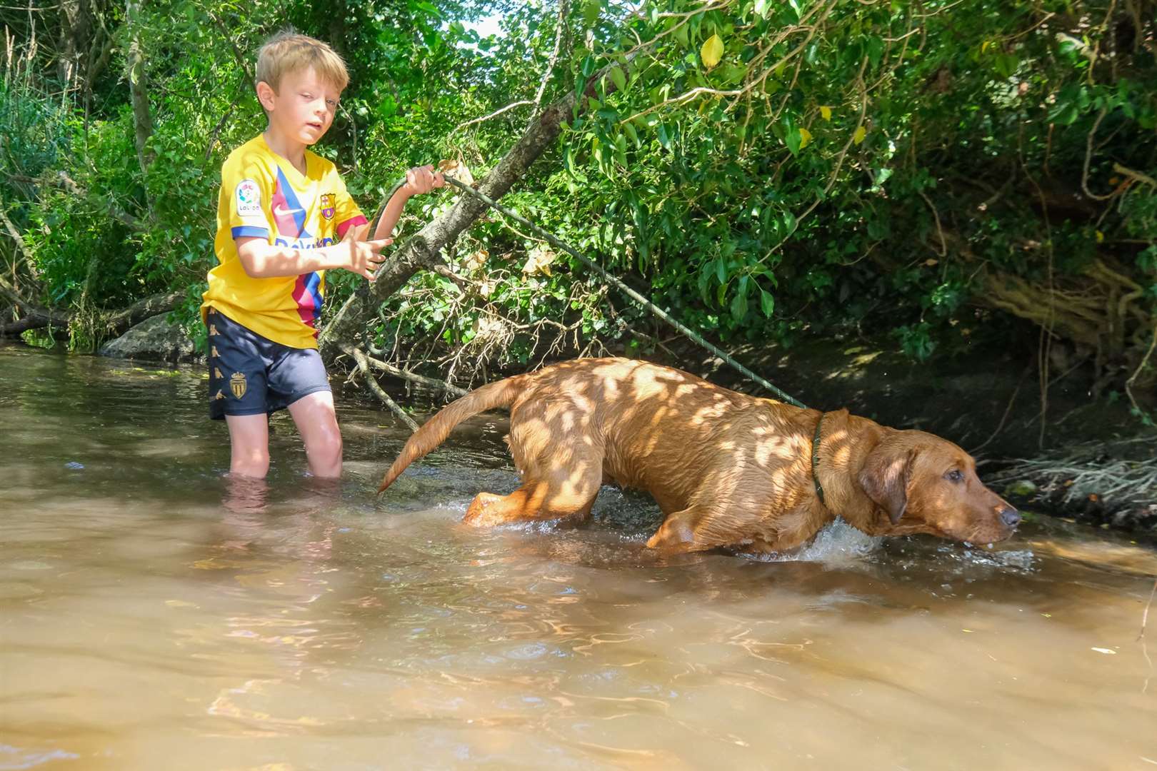 Doggy paddling in the River Pang