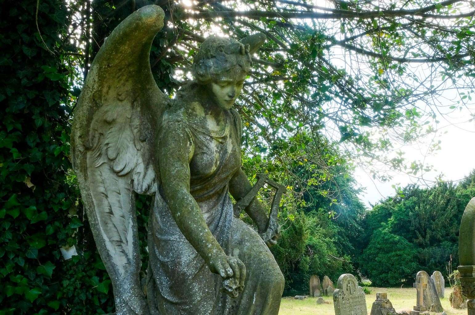 Tour of Newtown Road Cemetery