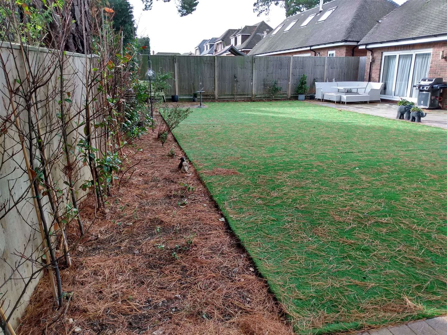 Pine needles cover gardens