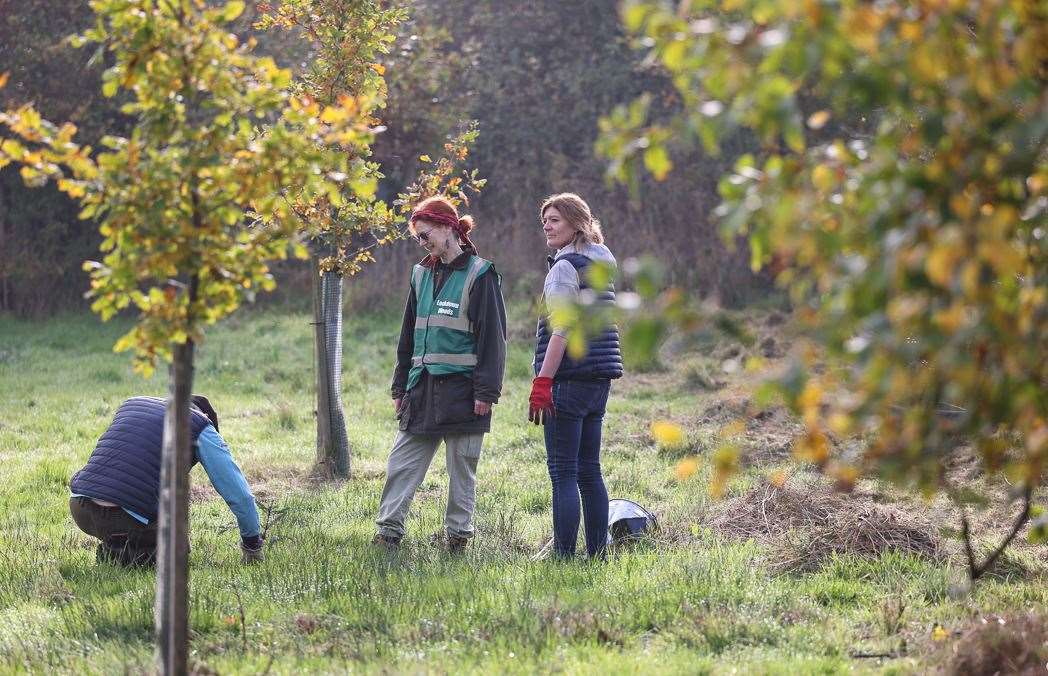 Newbury Friends of the Earth planting the fifth Lockdown Wood in Hamstead Marshall