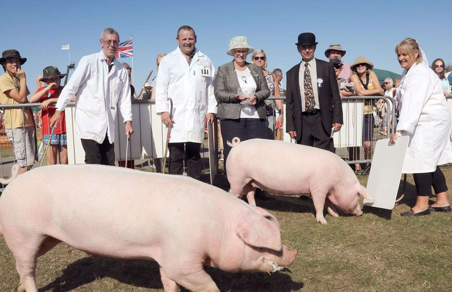 Nebwury Show, picture: Newbury & District Agricultural Society