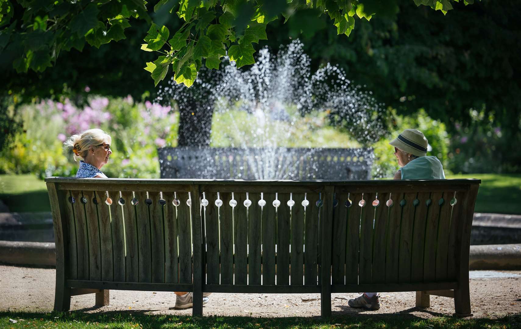 Botanic Gardens Pic: IanWallman