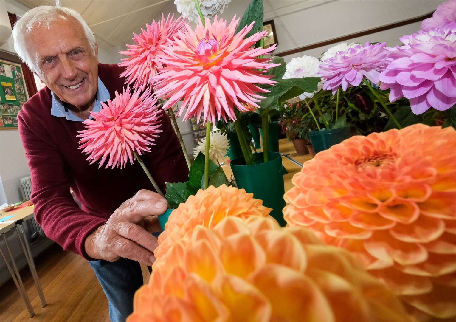 East Woodhay Flower Show - Bill Webb 1st Prize dahlias