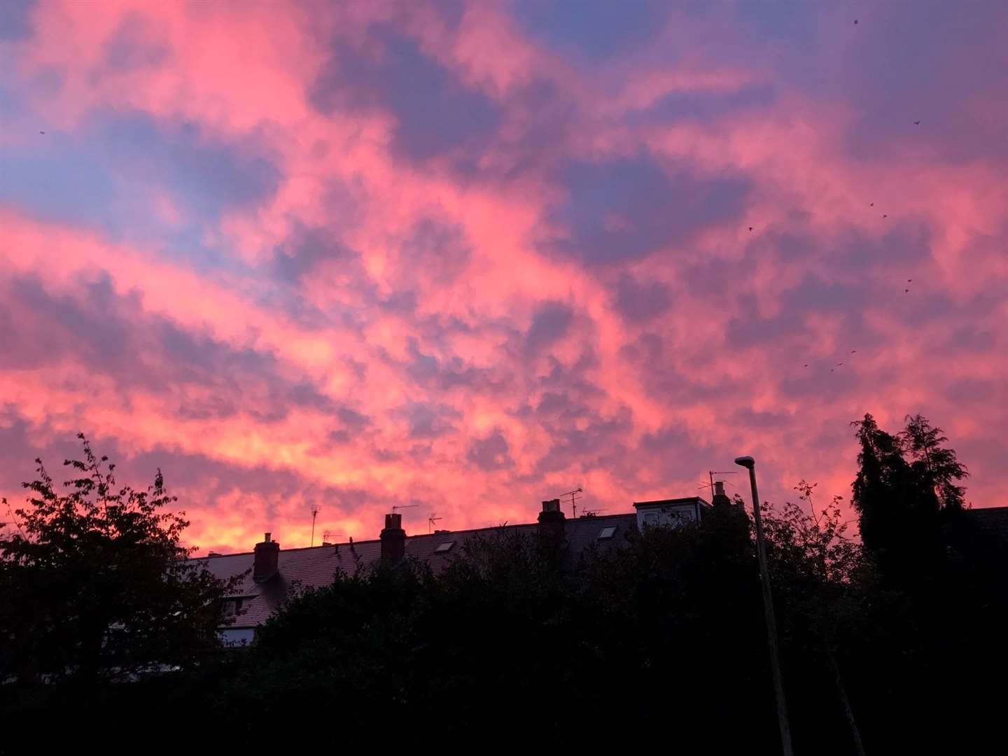 Rosemary Ambrose pictured the stunning sunrise from Theale (52359997)
