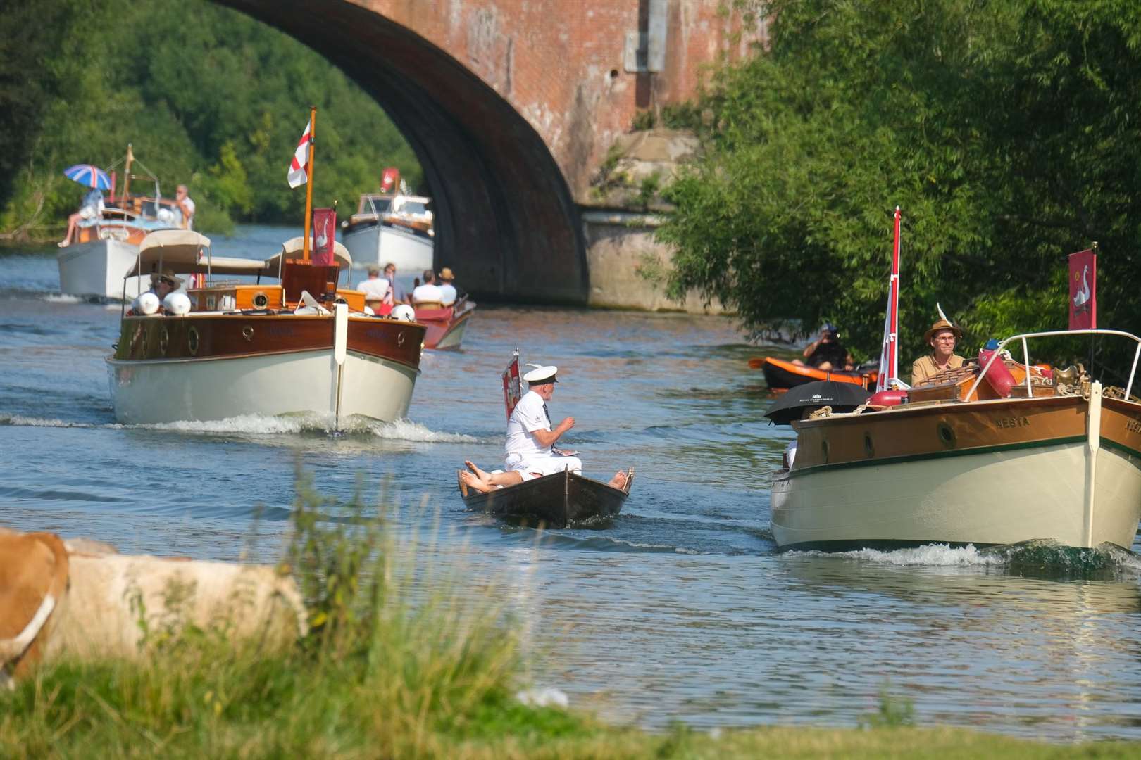 Swan Uppers coming up the River Thames near Goring last year Ref: 30-0121