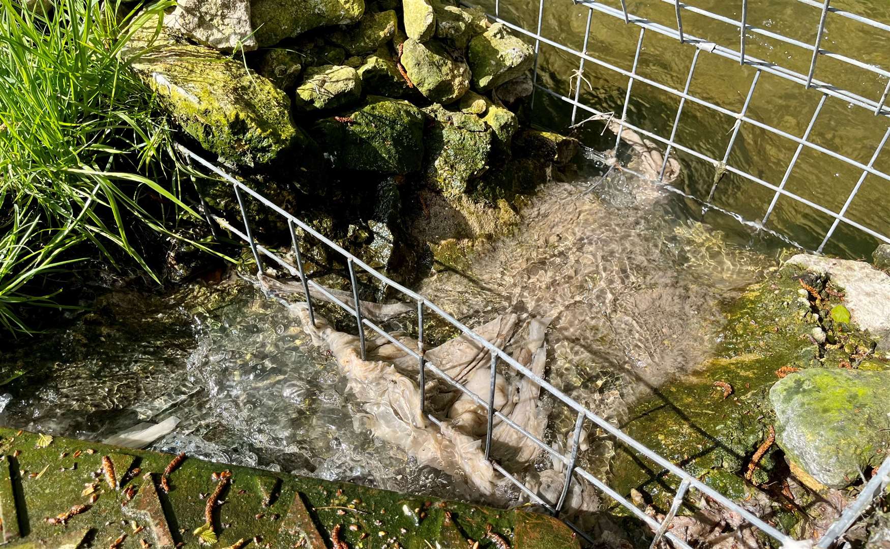 Toilet paper, tampons and wet wipes discharging from the manhole in Mr Miller’s front garden. Credit: Mirek Gosney