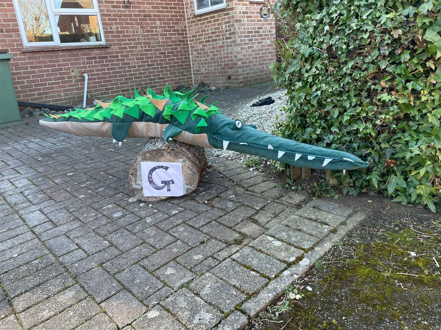 croc (55454646)