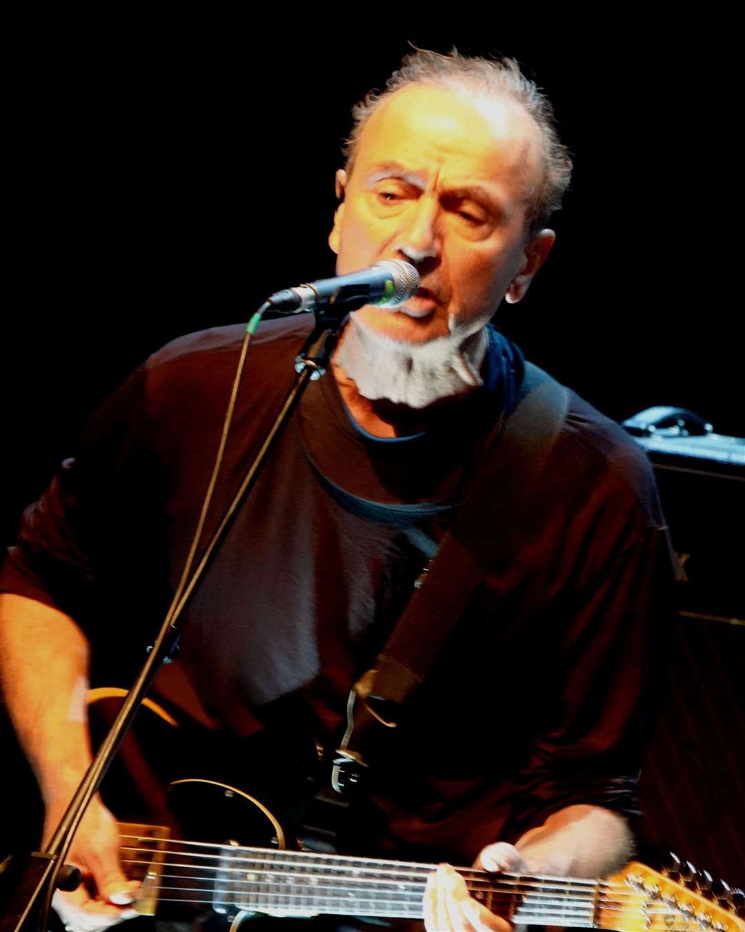 Hugh Cornwell, picture Brian Harrington