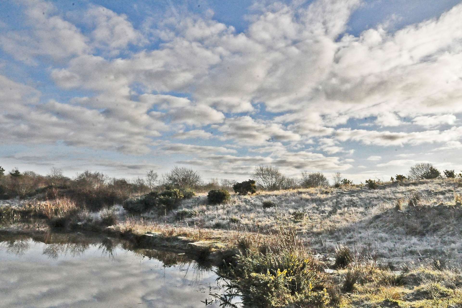 Tadley Common