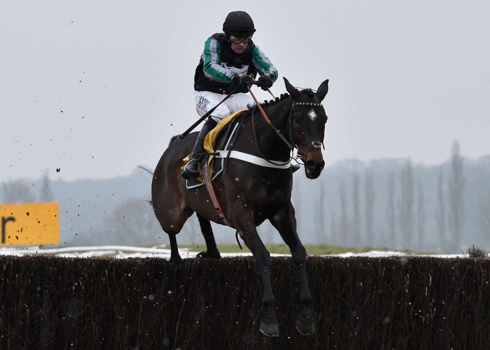 Altior was superb on a great day of racing on Betfair Super Saturday