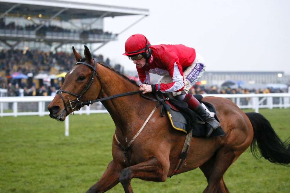 Top novice Ballyandy is amongst the early market leaders for the 2017 Betfair Hurdle