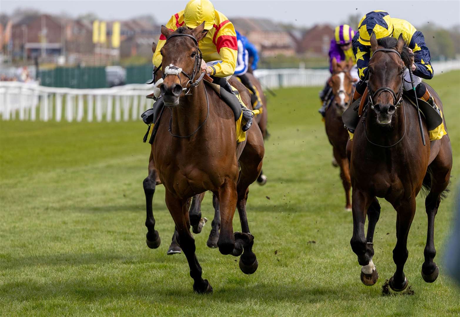 Dubai Duty Free Finest Surprise Stakes - Divina Grace