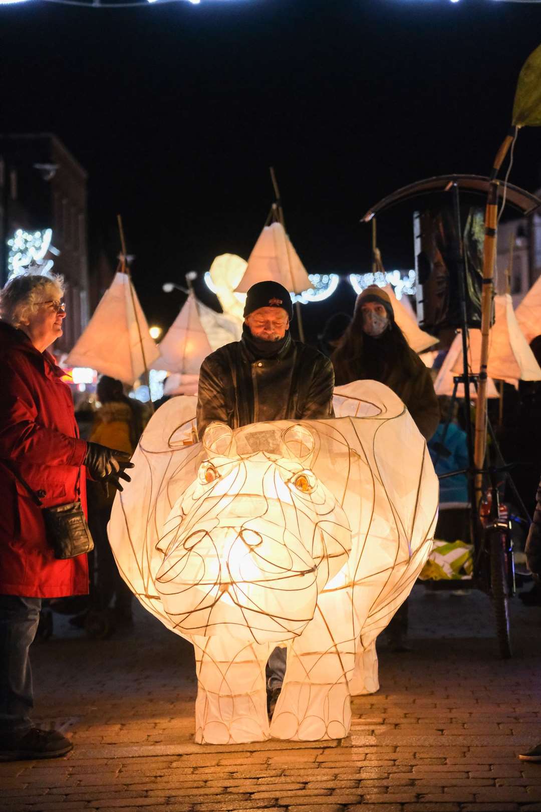 The Festival of Light in Newbury.