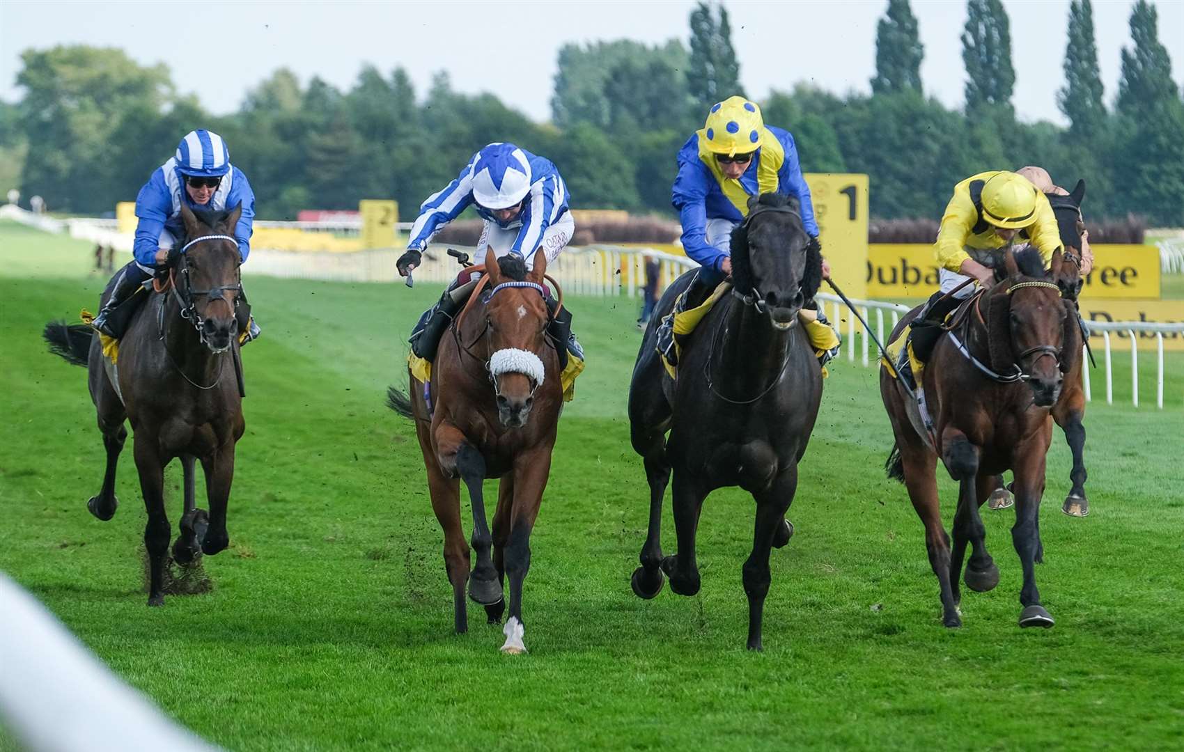 Solid Stone, under William Buick, won the Dubai Duty Free Legacy Cup Stakes