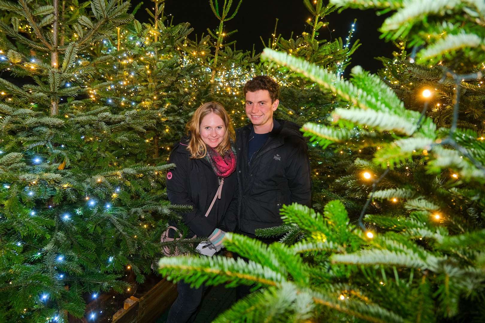 The Great Chrsitmas Carnival - In the Christmas tree maze.Ellie McMillian ,Peter Barrowman. (60950024)
