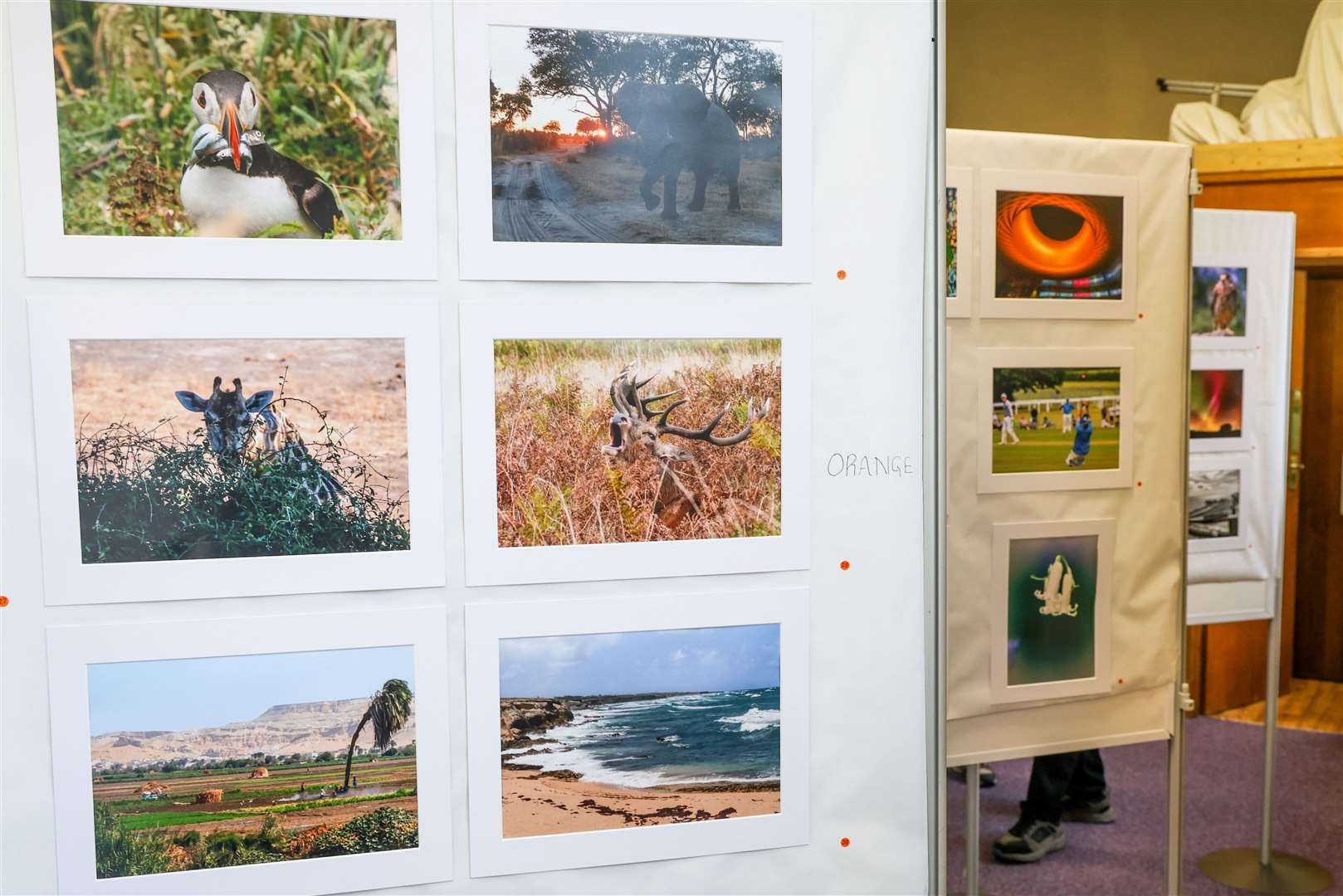 Thatcham Photographic Club Exhibition at Old Bluecoat School in Thatcham