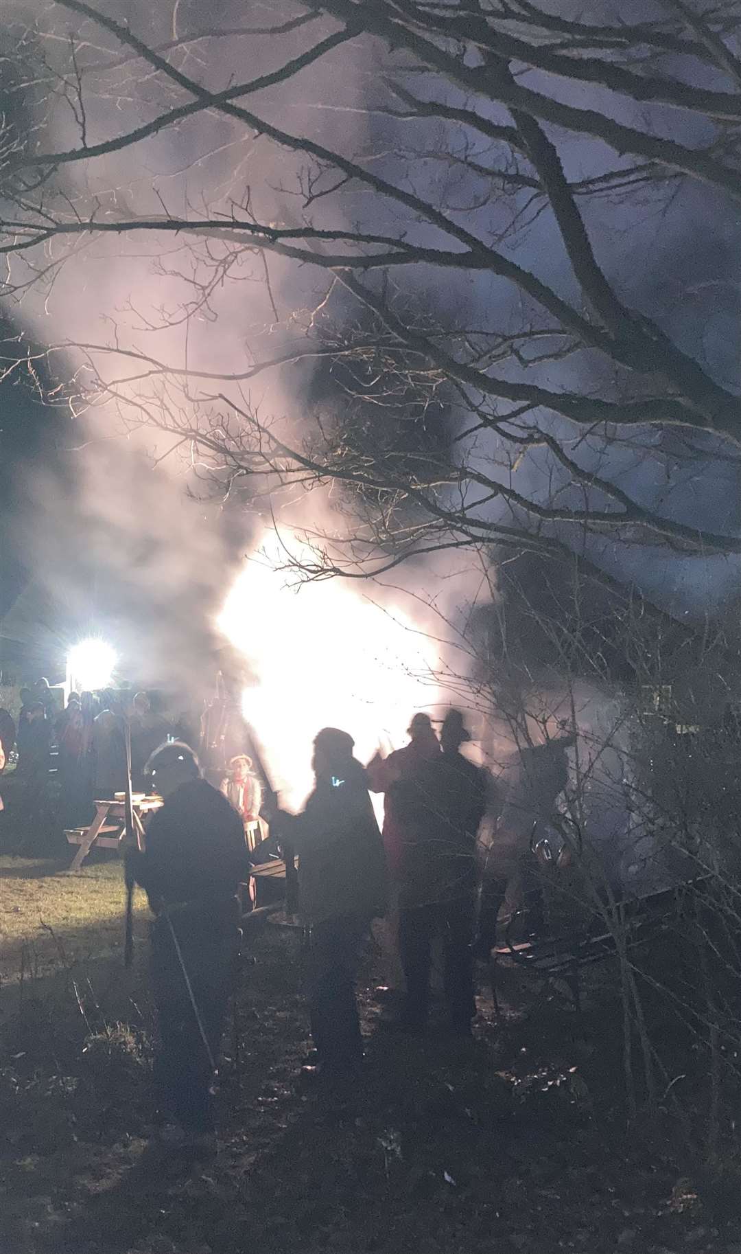Volley of musket fire through the branches