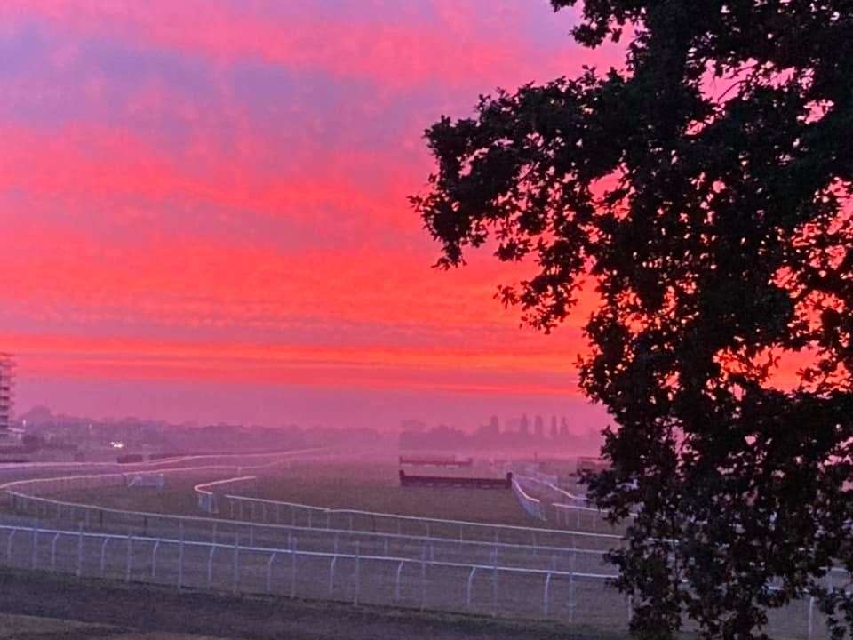 Sarah Woolmer captured this beautiful view of Newbury Racecourse (52357450)