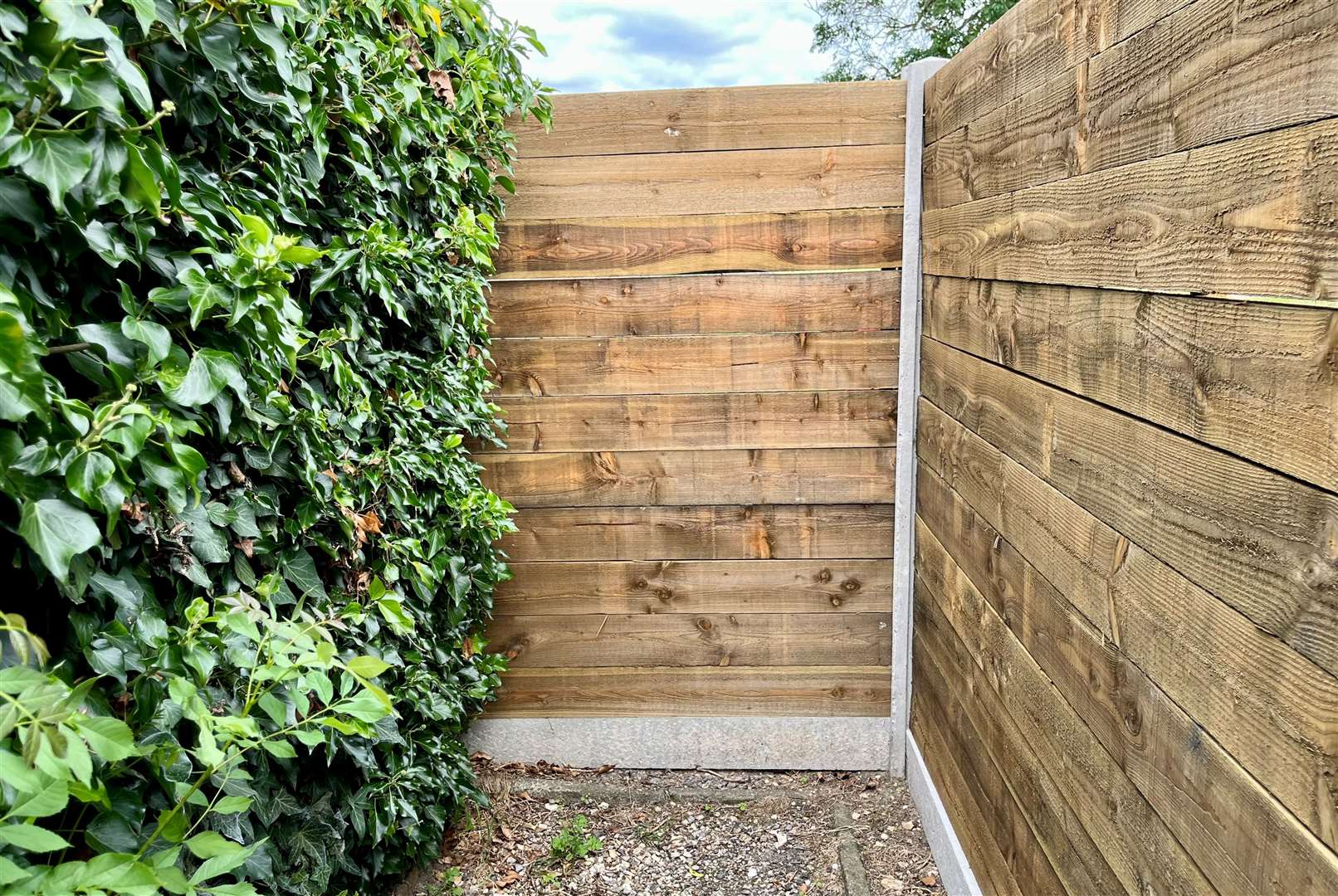 The six-foot wooden fence installed at a cost of £1,200, pictured last July