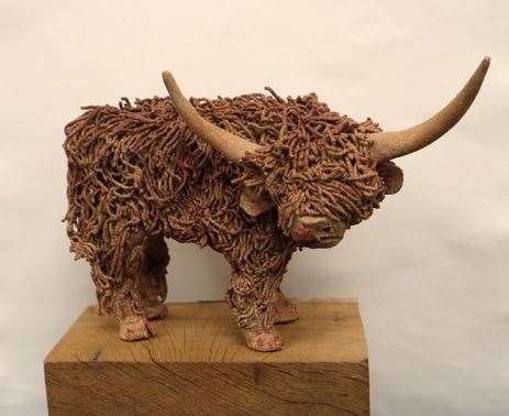 Alex Pawson - Highland Cow People's Favourite Adult