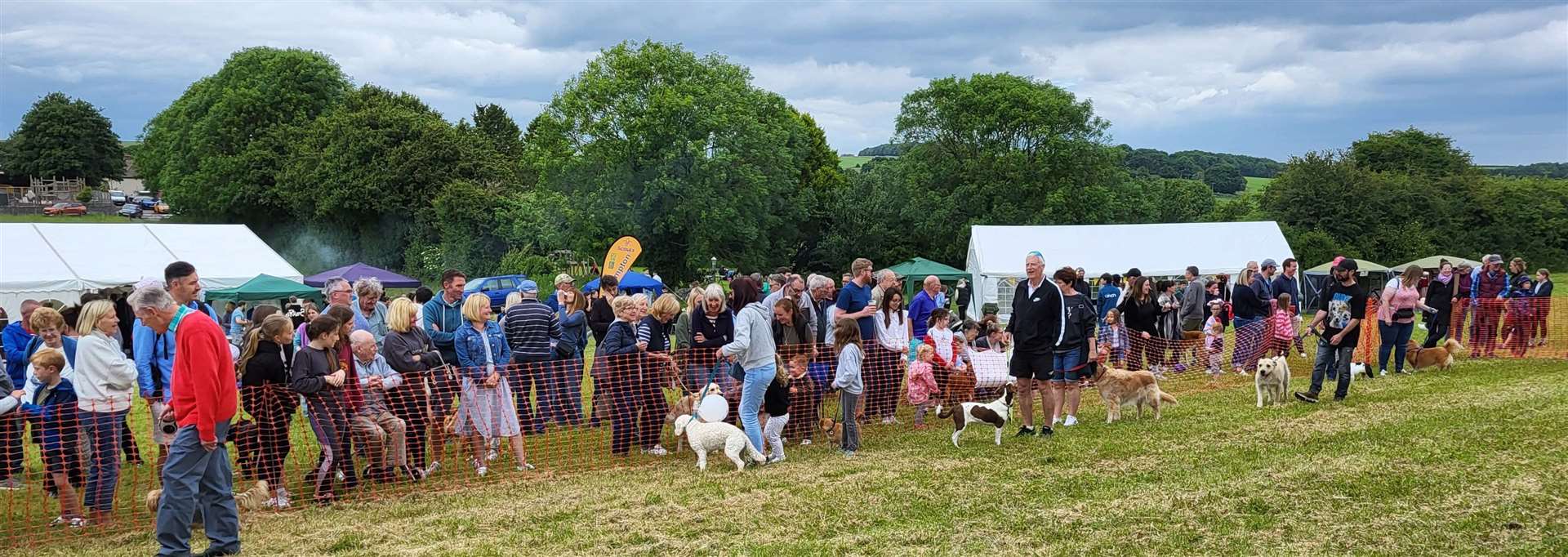 East Ilsley Sheep Fair 2024 photo credit Sarah Spink