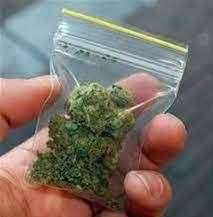 Cannabis
