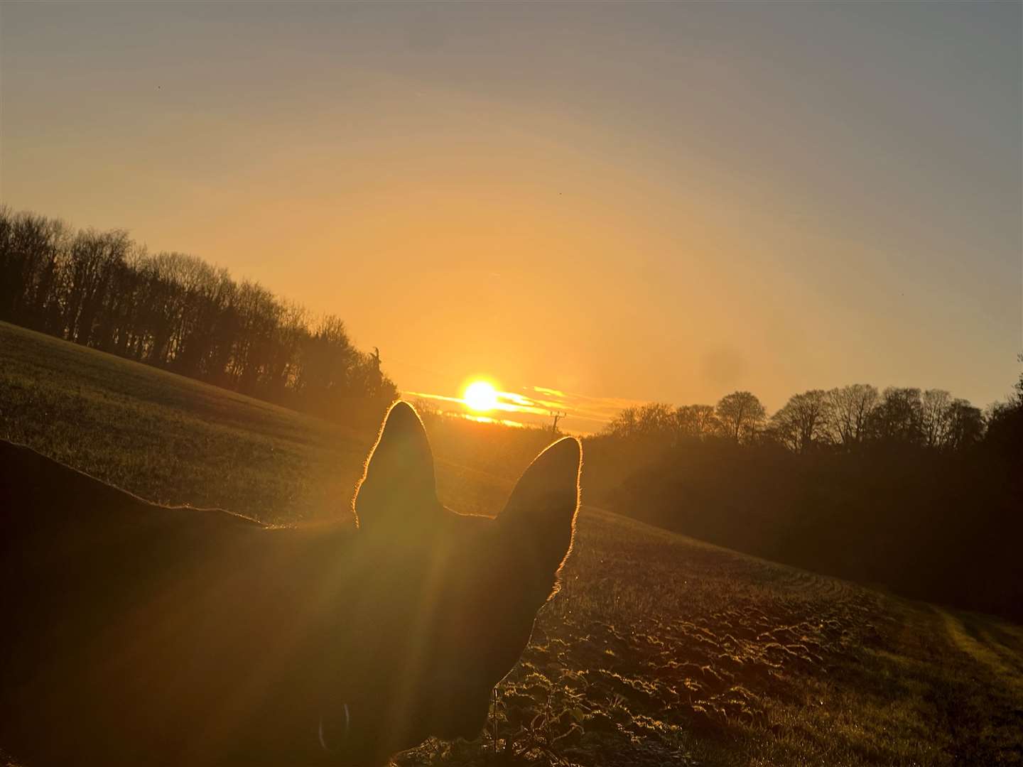 Sunrise near Highclere