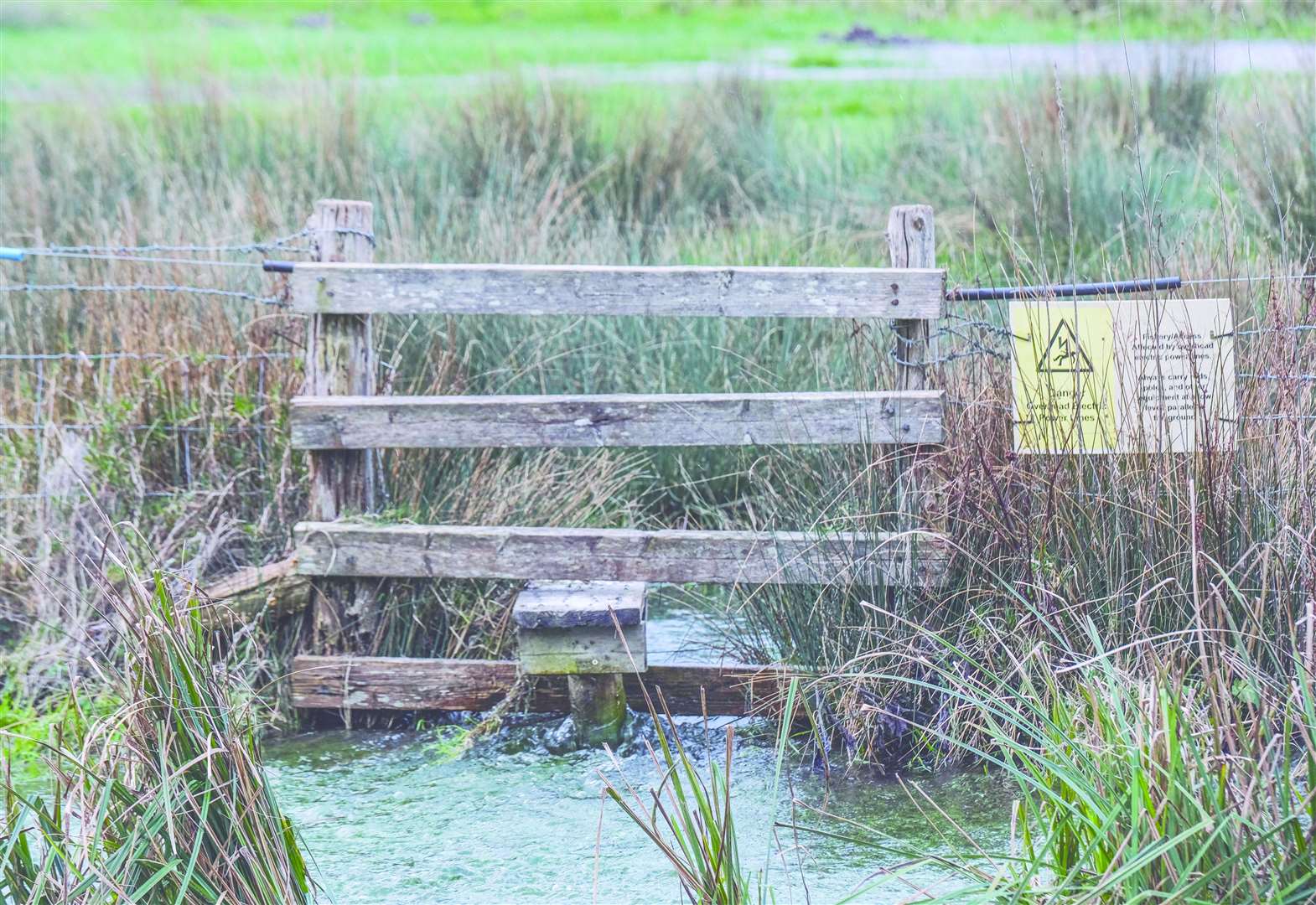 The River Kennet at Barton Court