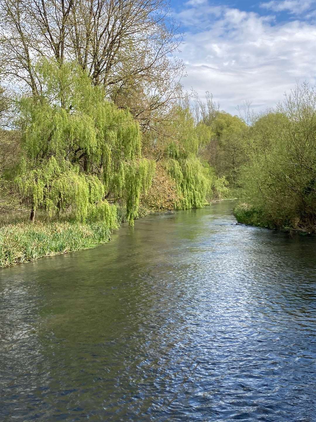 Ramsbury, by Marian Mears
