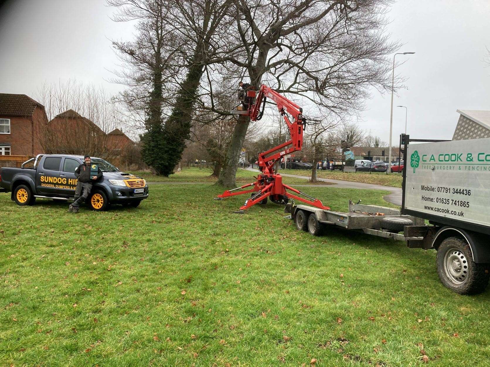 Bat box installation by Sundog Hire and CA Cook & Co Tree Services