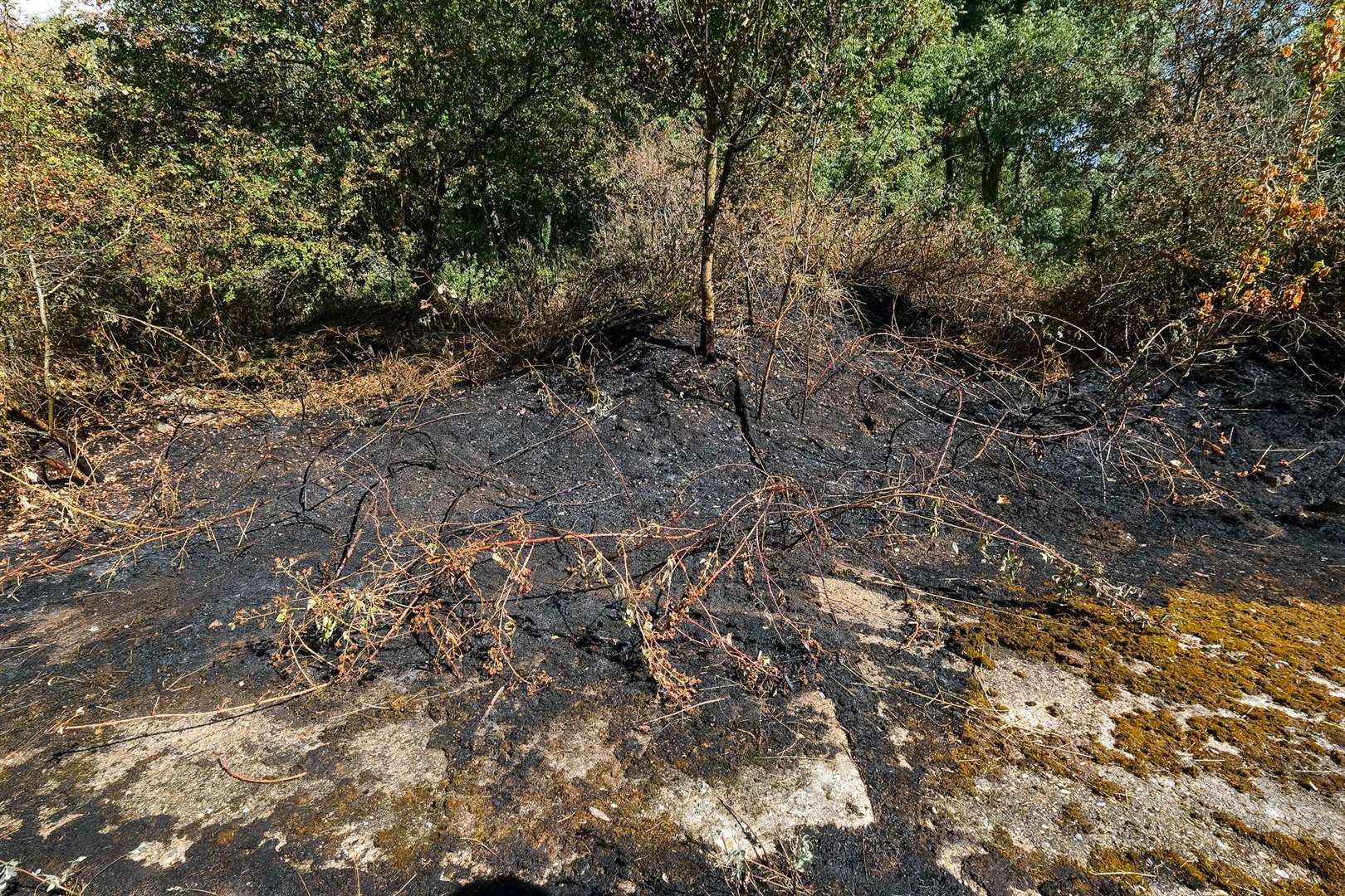 Fire in woods near Thatcham Nature Discovery Centre
