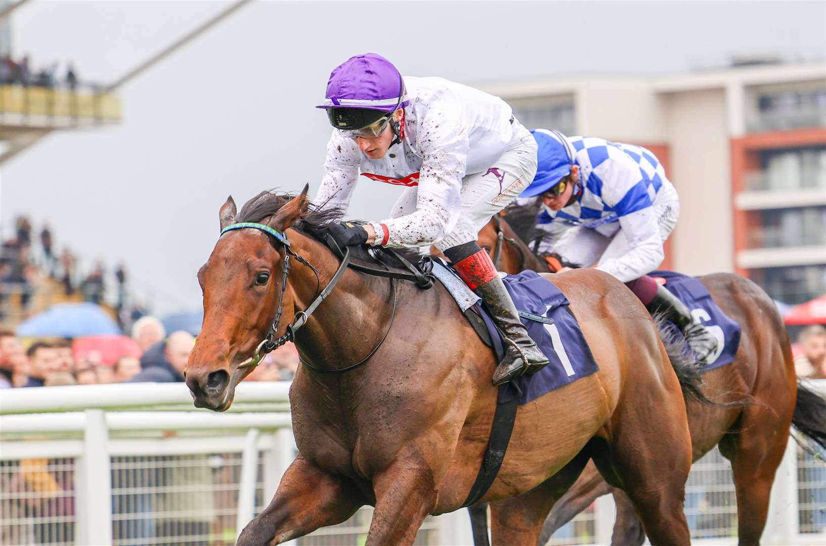 The Flat season concludes at Newbury