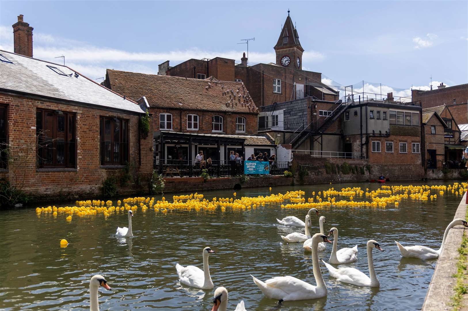 Newbury Duck Race
